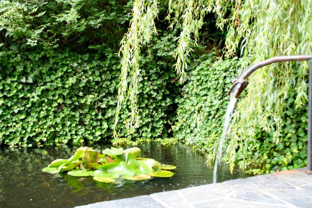 Dépendance Maison Géron Malmedy Esterno foto